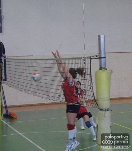 Aly a muro