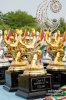 Tutti i risultati del trofeo coop
