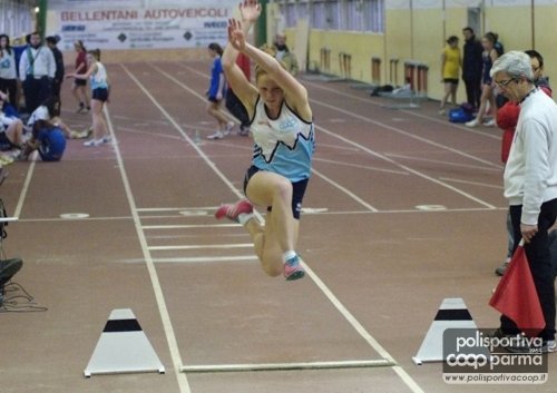 dennise adorni