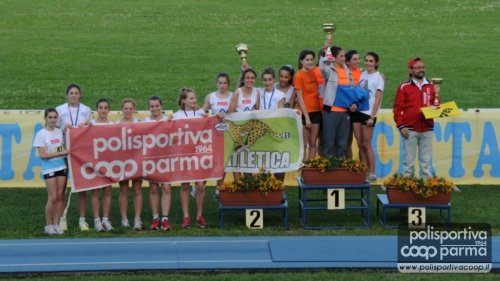 video della 3*1000  al sito      http://www.youtube.com/user/VideoCoopNE?feature=mhee