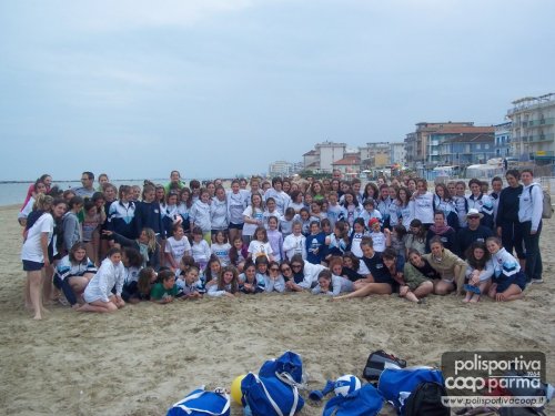 igea 2012