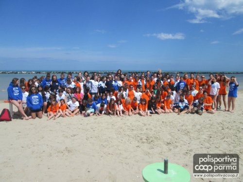 gruppo igea 2013