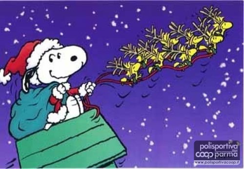 ALLENAMENTI SOSPESI DAL 23 DICEMBRE AL 6 GENNAIO